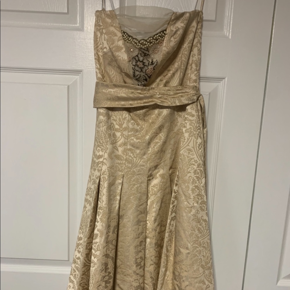 Tibi vintage style champagne cocktail dress